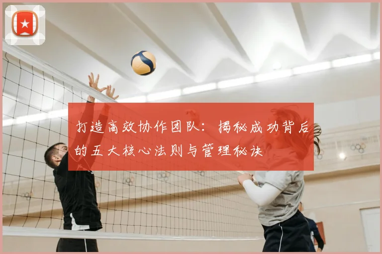 打造高效协作团队：揭秘成功背后的五大核心法则与管理秘诀