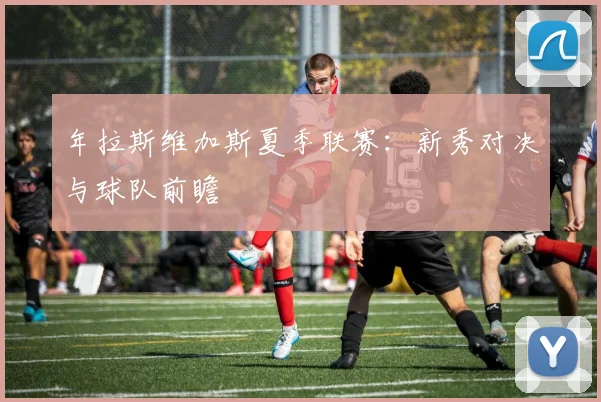 年拉斯维加斯夏季联赛:新秀对决与球队前瞻